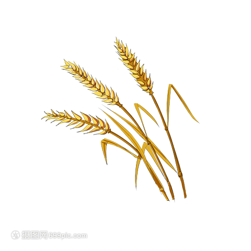 手繪卡通小滿與稻谷 傳統(tǒng)文化元素的生動呈現(xiàn)