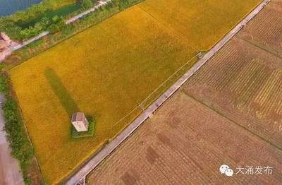 不用自己動手，你也可以擁有自己的田塊和土雞！