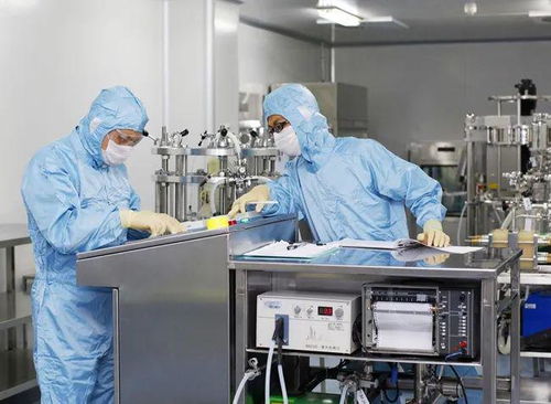 火了 廈門這道 主菜 ,超126萬人次